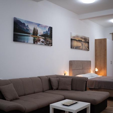 Dane Apartment Airport Podgorica Mitrovici  外观 照片
